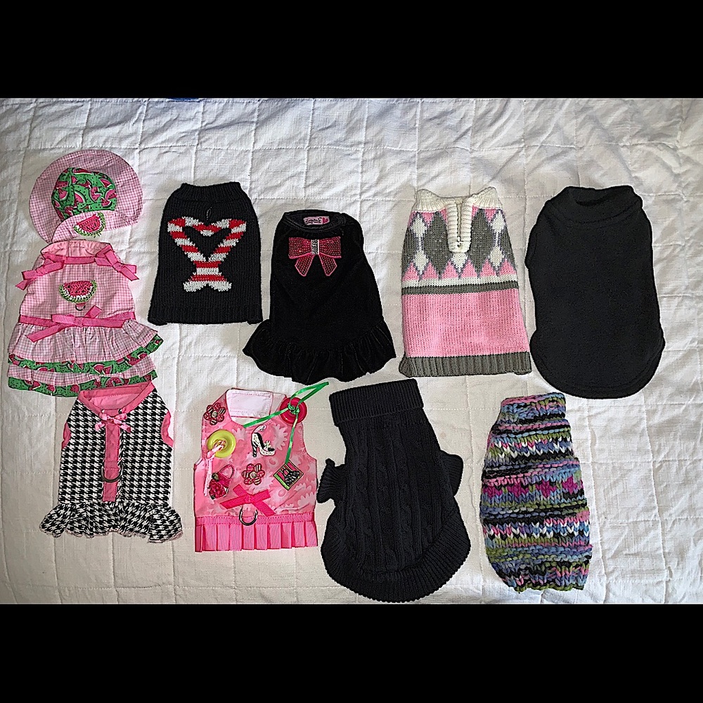 Bundle of small dog clothes (my dog under 3 lbs)